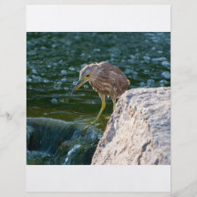 Vogel im Wasser-Flyer