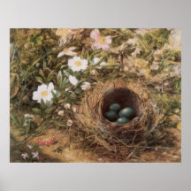 Vögel Nest und Dogroses durch Hügel, viktorianisch Poster