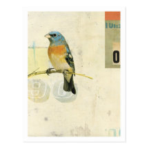 Vogel No.1 Postkarten
