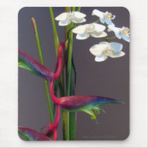 Vogel-von-Paradies Orchideen Mauspad