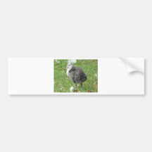 Vogelbaby Autosticker