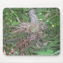 Vogelnest Mauspads