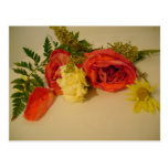 volle Postkarten der Blume