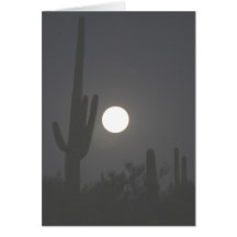 Vollmond über der Wüste Grußkarten