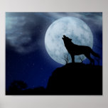 Vollmond-Wolf Poster