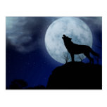 Vollmond-Wolf Postkarte