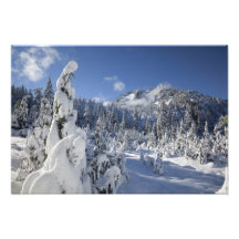 WA, alpine See-Wildnis, Snow Seebecken Foto