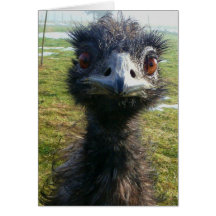 Wachsame Augen EMU Karte