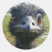 Wachsame Augen EMU Runder Aufkleber