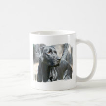 Wachsame schwarze Labrador-Kaffeetasse