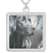 Wachsame schwarze Labrador retriever-Hundesilber-H Schmuck
