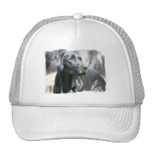 Wachsamer schwarzer Labrador-Baseball-Hut Retrokappe