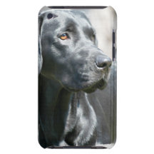 Wachsamer schwarzer Labrador retriever-HundiTouch  Barely There iPod Hüllen