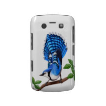 Wachsames blaues Jay-Vogel-BlackBerry-mutiger Kast Blackberry Bold Case