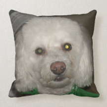Wachsames Hundekissen