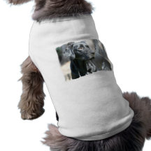 Wachsames schwarzes Labrador-Haustier-Hemd Hund Shirt
