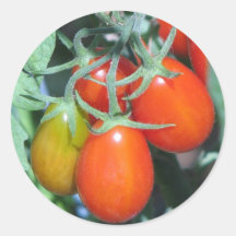 Wachsenden Tomatoes Runder Sticker