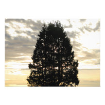 Wächter-Baum Personalisierte Ankündigungen