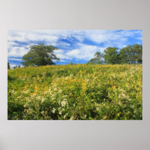 Wachusett Wiesen-Wildblume-Wiesen-Spätsommer Plakatdrucke