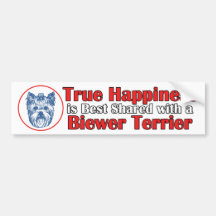 Wahres Glück mit einem Biewer Terrier Autosticker