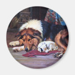 Waisenhund mit Collie-Vintager Kunst Kühlschrankmagnet