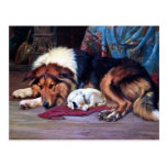 Waisenhund mit Collie-Vintager Kunst Postkarten