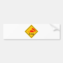 wakeboarder x-ing and crossing autosticker
