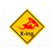 Wakeboarder x-ing and crossing postkarte