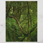 Wald Flyerdruck