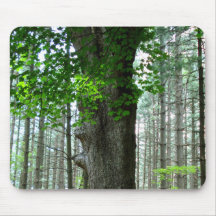 Waldmausunterlage Mousepads