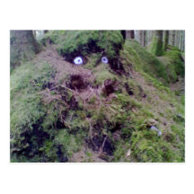 Waldschleppangel Postkarten