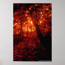 Waldsonnenuntergang Posterdruck