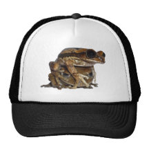 Waldsteiger Frosch Duo Baseball Mützen