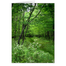 Waldweg-Geburtstag Karten