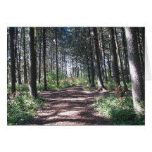Waldweg-Sammlung Grußkarten