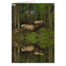 WALDwild lebende tiere Tierclan-Gruß-Karten