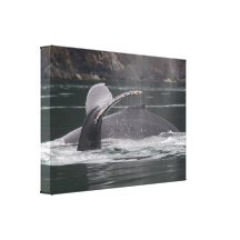 Wale Gespannte Galeriedrucke