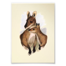 Wallaby-Mutter und Baby (Malerei) Fotodrucke
