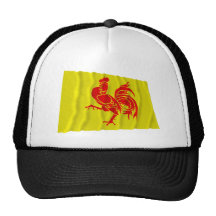 Wallonische Regions-wellenartig bewegende Flagge Baseball Cap