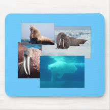 Walroß, Eisbär, Seelöwe Stier Mousepad