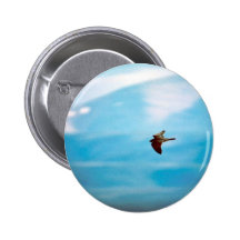 Wanderfalke Anstecknadelbuttons
