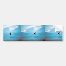 Wanderfalke Autosticker