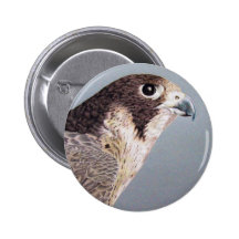 Wanderfalke-Knopf Anstecknadelbutton