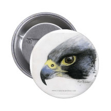 "Wanderfalke" Knopf Anstecknadelbutton