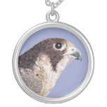Wanderfalke Selbst Gestalteter Schmuck