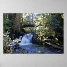 Wandern durch das Holz Plakate