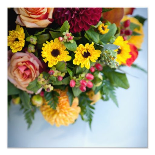 Warme Blumen Fotografien