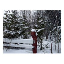 Wartete Weihnachten-Vogel Haus Postkarten