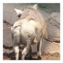 Warthog Behind Personalized Announcement