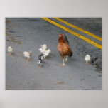 Warum kreuzte das Huhn die Straße? Poster